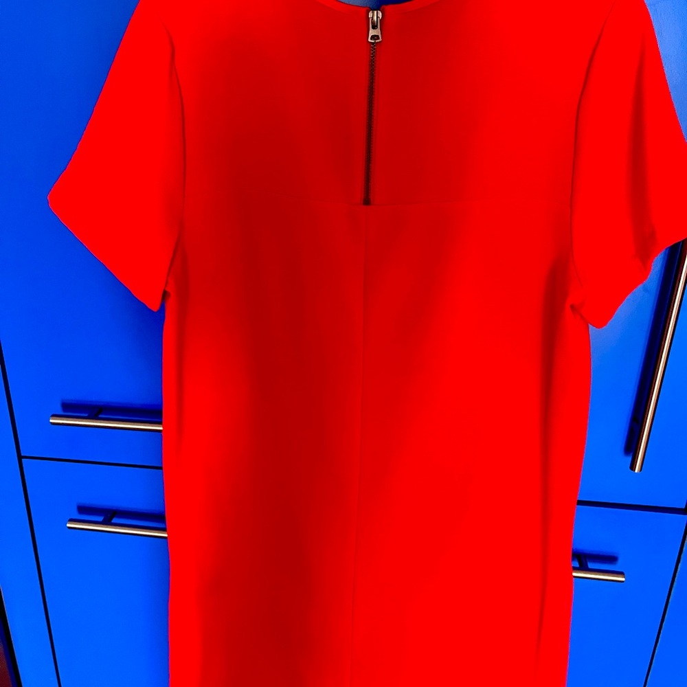 Felicity and Coco dress